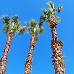 Le 3 Palme Holiday home *