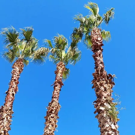 Le 3 Palme By Whiteroomsalento Tatil Evi *