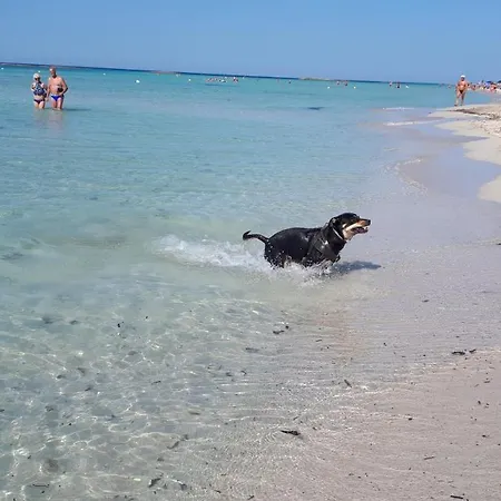 Le 3 Palme Holiday home