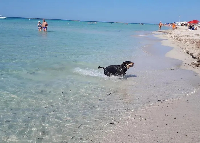 Le 3 Palme بيت للعطل