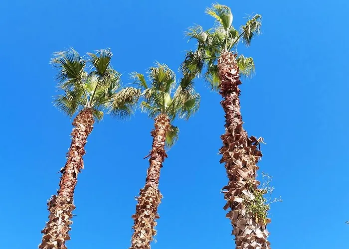 Le 3 Palme Holiday home *